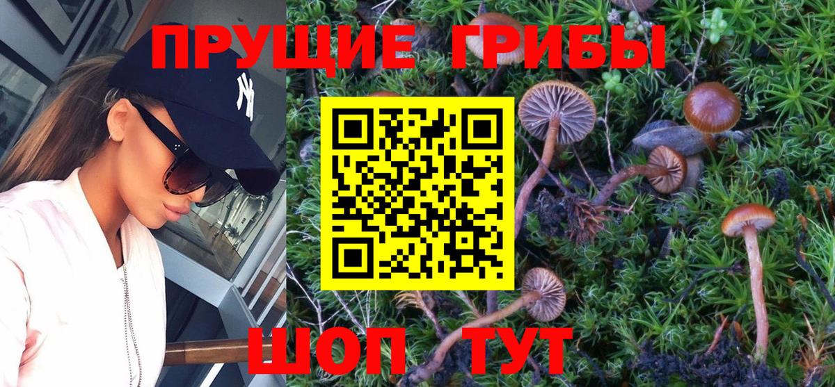 Псилоцибиновые грибы Cubensis  Псилоцибиновые грибы ЛСД  Балашиха  Вход с VPN 