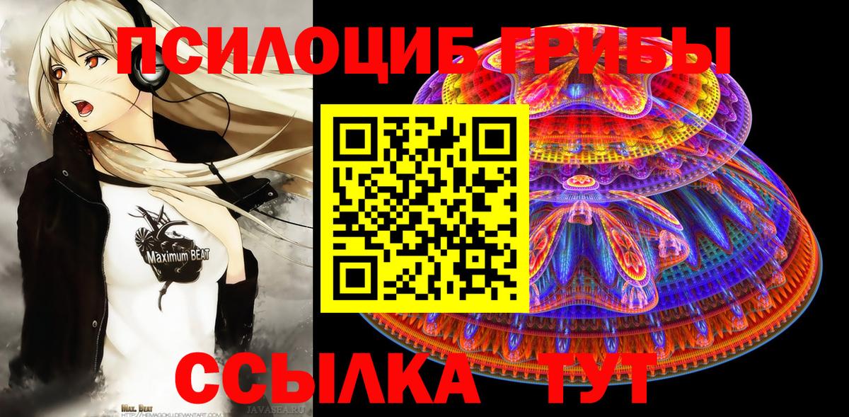 Псилоцибиновые грибы Psilocybe Балашиха
