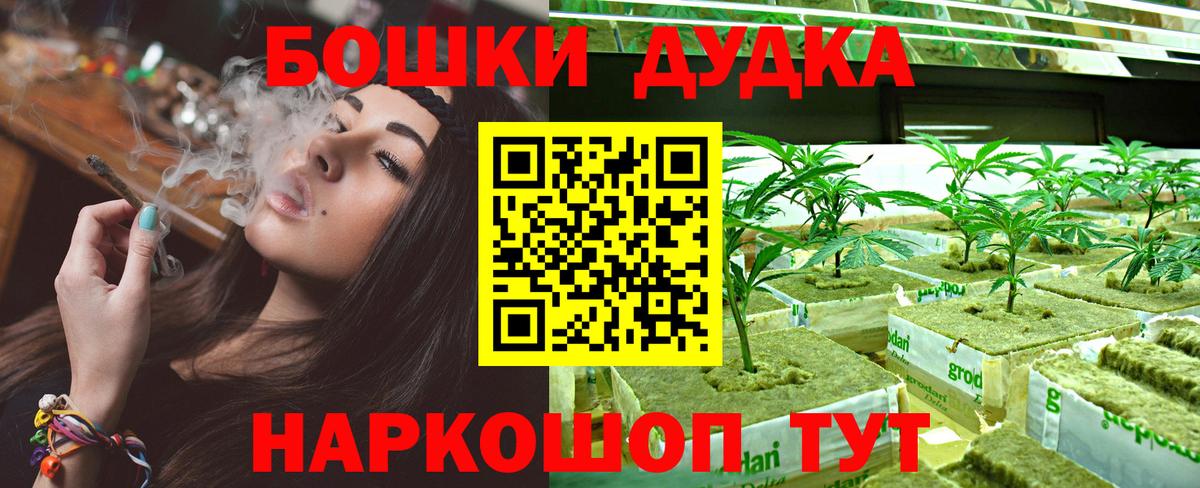 Бошки Шишки гибрид  Канабис семена  Конопля OG Kush  Вход с VPN  Балашиха  Канабис THC 21% 